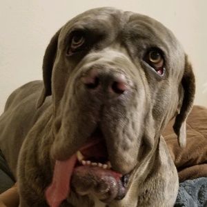 Meet your Posher, Abraham